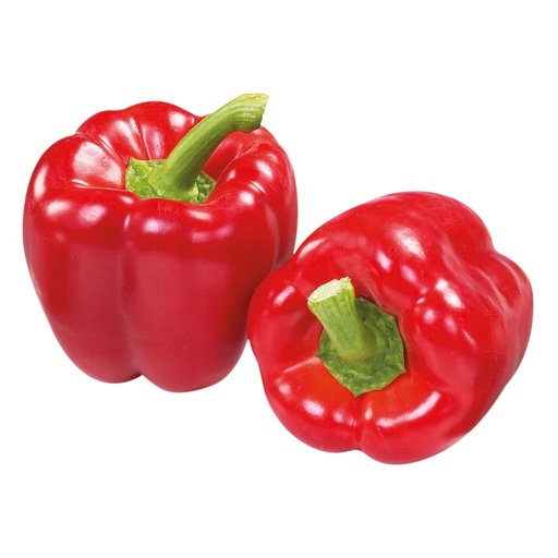 [PR/01087] Bell Pepper Red