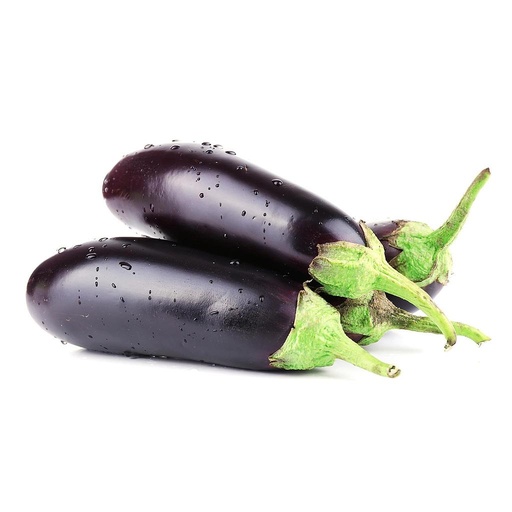 [PR/01054] Brinjal