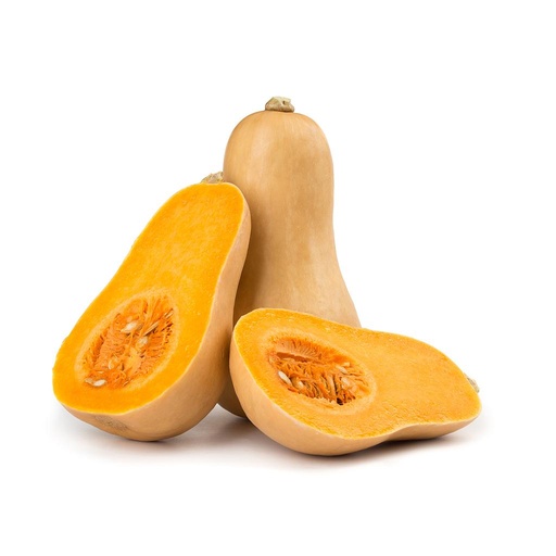 [PR/01809] Butternut Squash