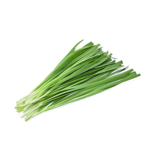 [PR/00930] Chives