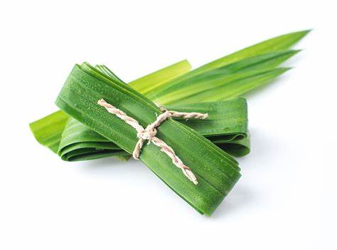 [PR/01098] Pandan Leaves