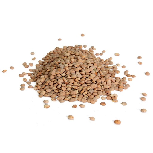 [PR/01017] Red Lentils (Masoor)