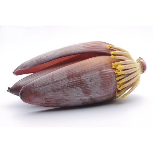 [PR/01041] Banana Blossom Flower - Keselmuwa