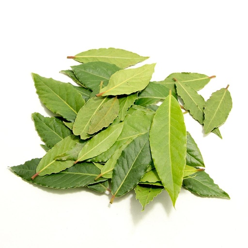 [PR/01667] Bay Leaves
