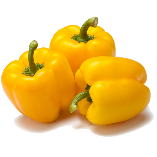 [PR/01842] Bell Pepper Yellow