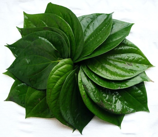 [PR/01907] Betel Leaves