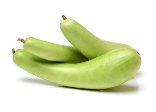 [PR/01661] Bottle Gourd