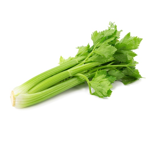 [PR/01059] Celery