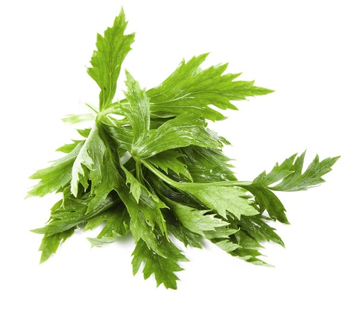 [PR/01668] Celery Leaves