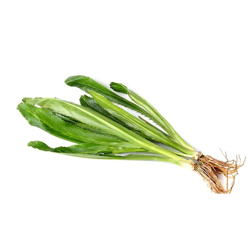[PR/01672] Culantro Leaves