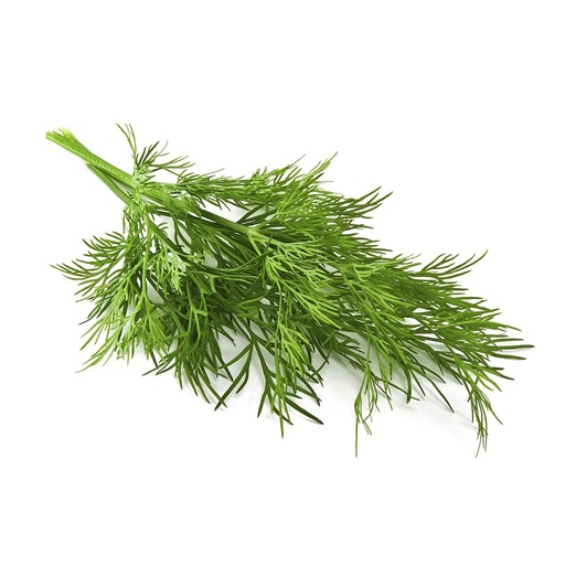 [PR/01674] Dill Leaves
