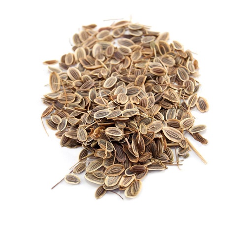 [PR/01731] Dill Seeds