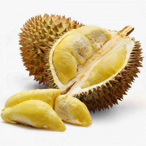 [PR/01814] Durian