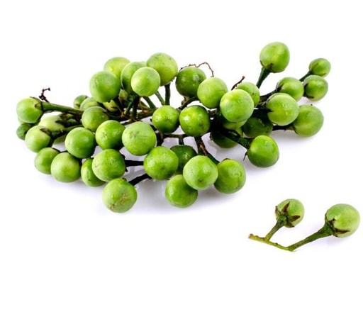 [PR/01808] Egg Plant Wild - Thibattu