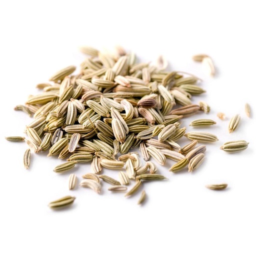 [PR/01732] Fennel Seed