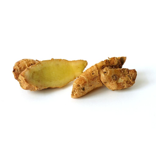 [PR/01735] Galangal