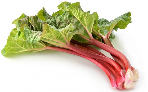 [PR/02923] Garden Rhubarb