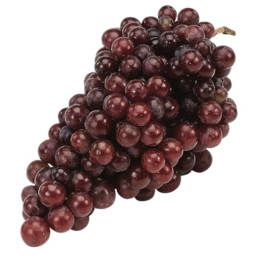 [PR/01835] Grapes Red