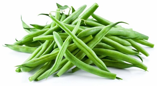 [PR/01817] Green Bean