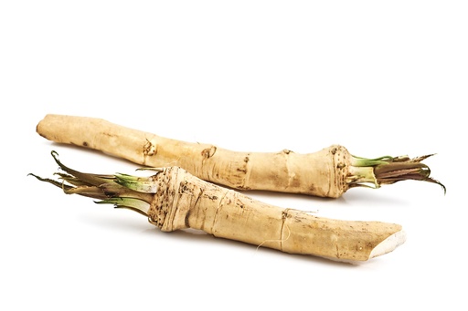 [PR/01736] Horseradish