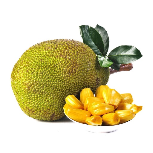 [PR/01786] Jackfruit