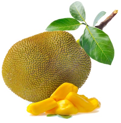 [PR/01378] Jackfruit Cleaned