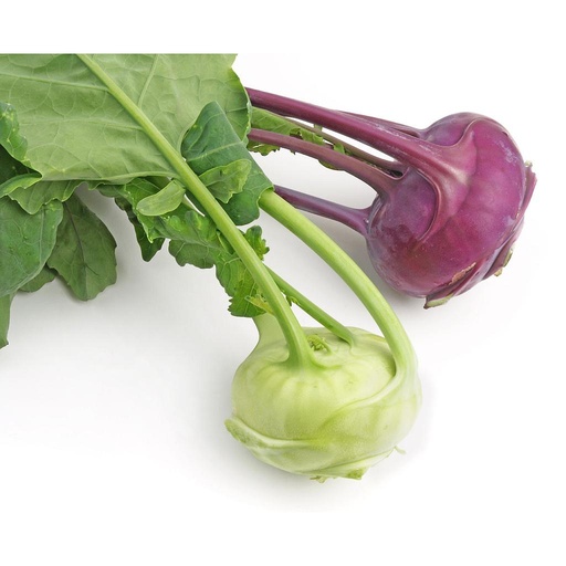 [PR/01755] Knokol/Kohlrabi