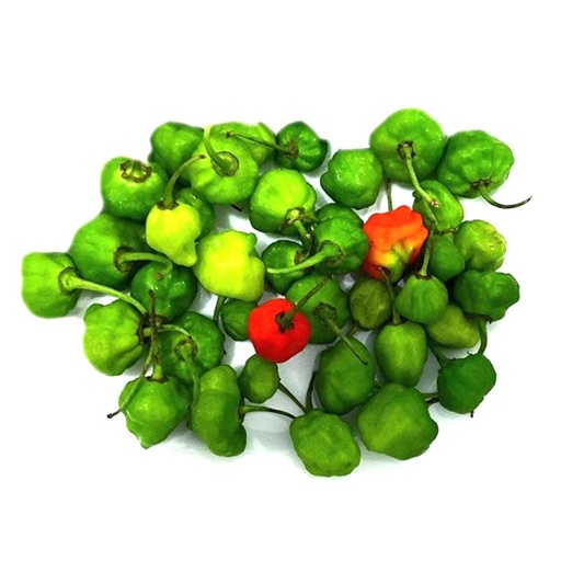 [PR/01459] Kochi Miris