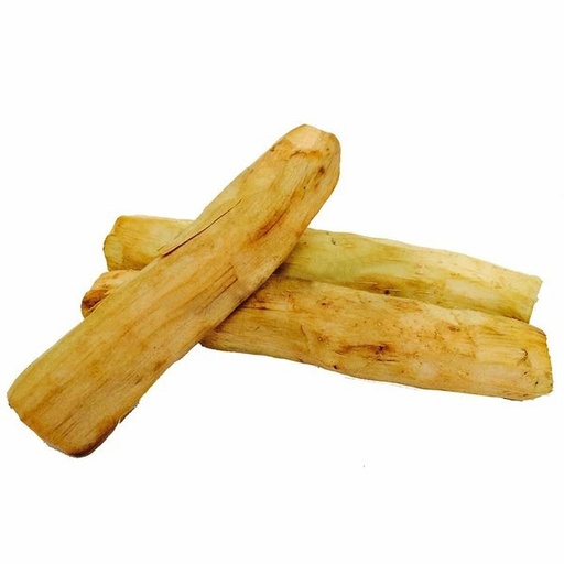 [PR/01073] Lasia Stalk - Kohila Ala