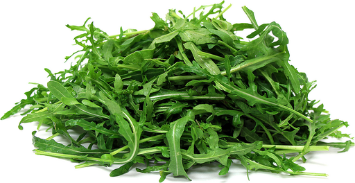[PR/01660] Lettuce Arugula - Wild Rocket