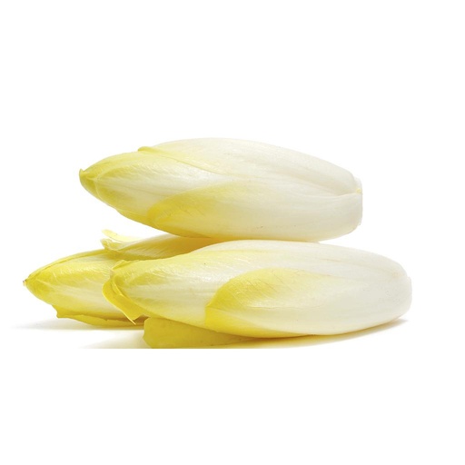 [PR/01652] Lettuce Endives