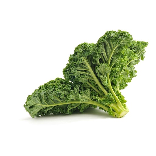 [PR/00915] Lettuce Kale