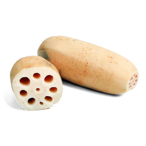 [PR/02333] Lotus Root - Nelum Ala