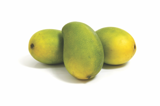 [PR/02330] Mango KC - Karutha Colomban