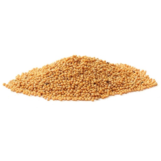 [PR/01740] Mustard Seed