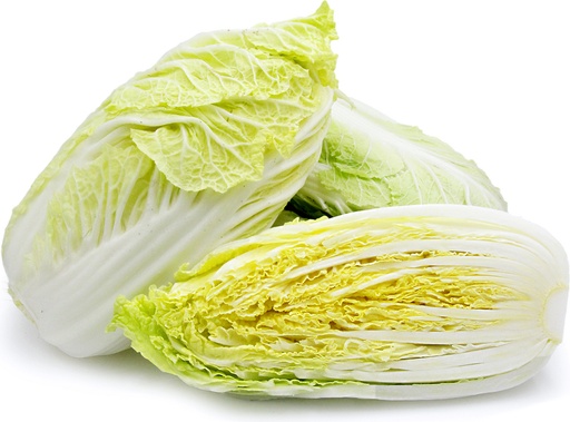 [PR/01632] Napa Cabbage - Chinese Cabbage