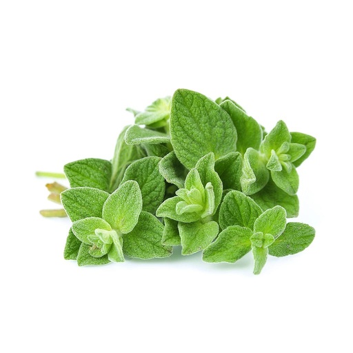 [PR/01679] Oregano Leaves
