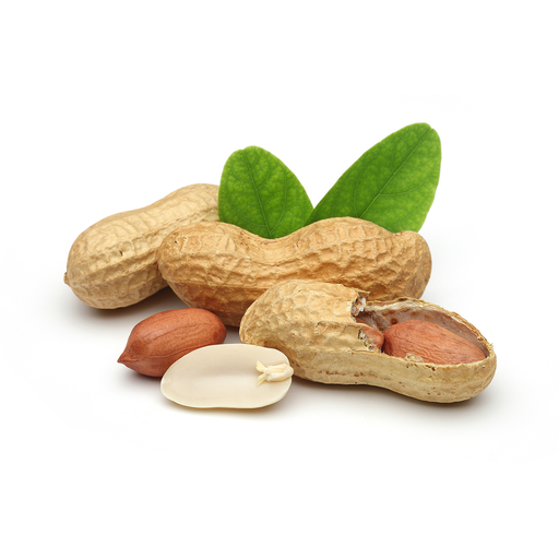 [PR/01691] Peanut