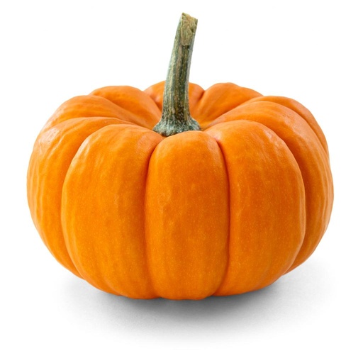 [PR/01598] Pumpkin