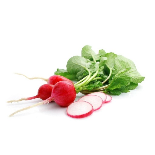 Radish