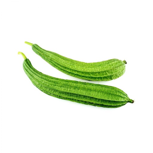 [PR/01664] Ridge Gourd