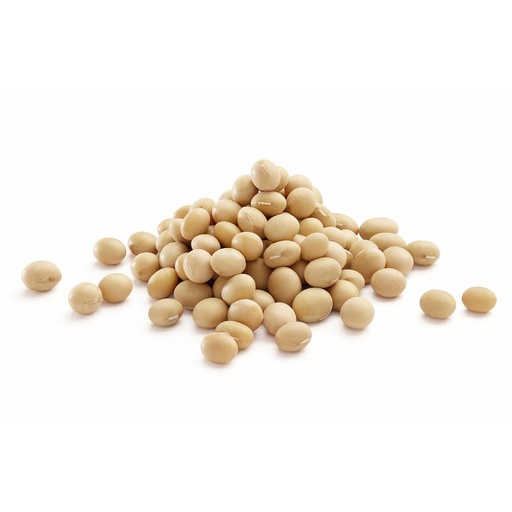 [PR/00980] Soy Beans