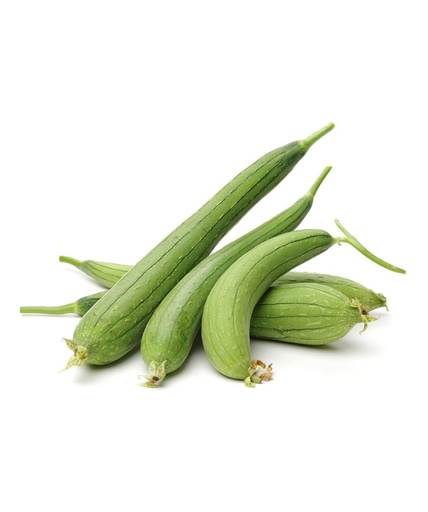 [PR/01104] Sponge Gourd (Luffa Gourd)