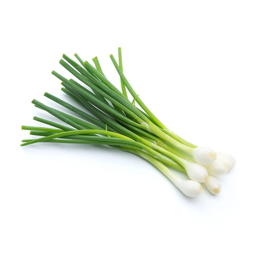 [PR/01832] Spring Onion