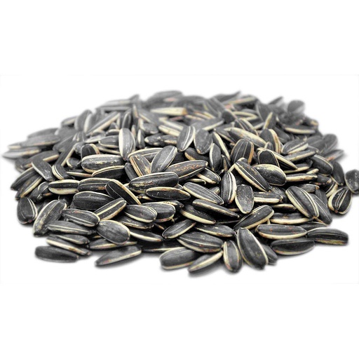 [PR/00960] Sunflower Seeds