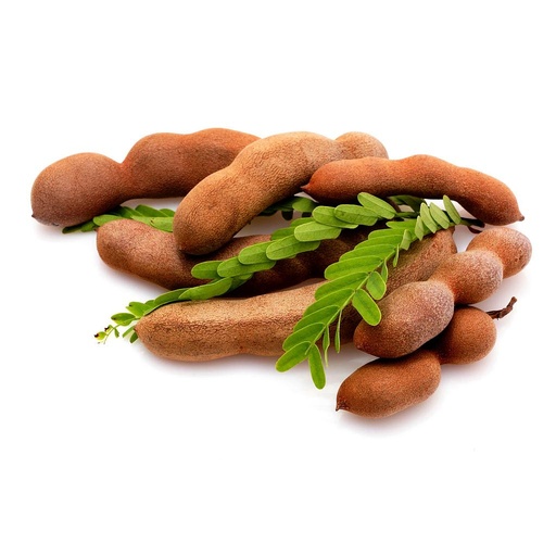 [PR/01746] Tamarind