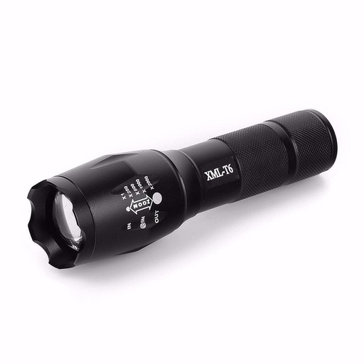 Torch Light