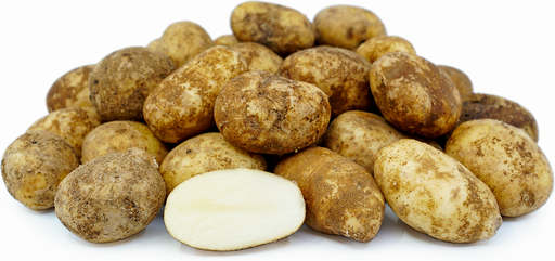[PR/01412] Wild Baby Potato - Chinese Potato - Innala