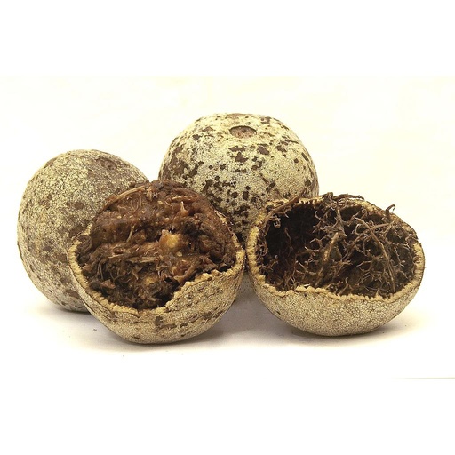 [PR/01035] Wood Apple