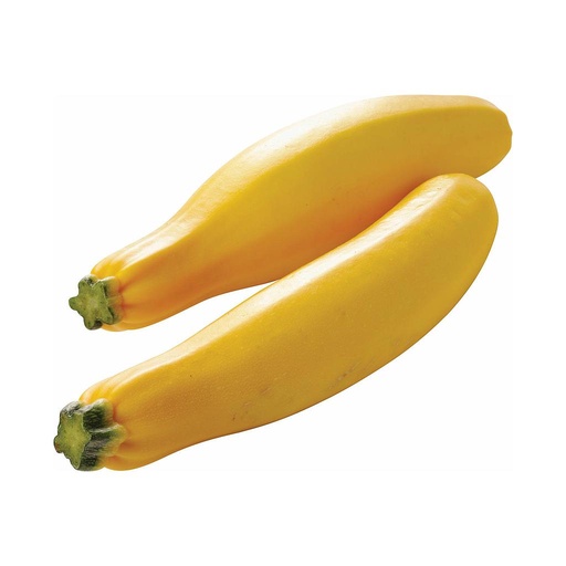 [PR/01848] Zucchini Yellow